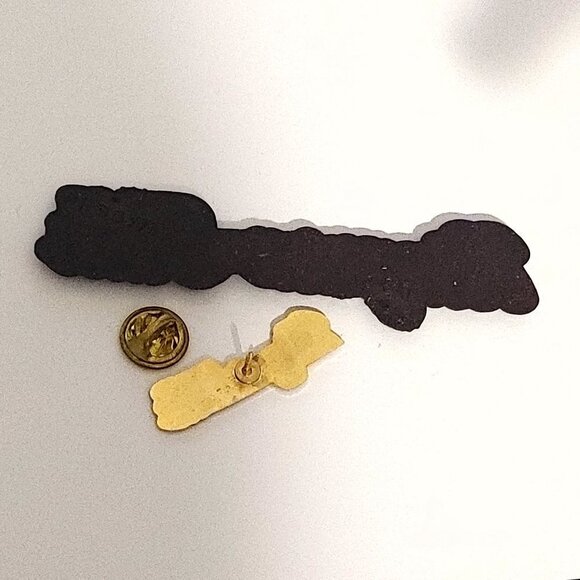 FUN Niagara Falls Souvenir Pin and Magnet - Picture 2 of 3